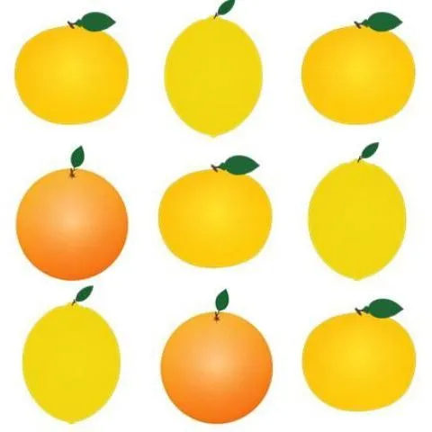 thumbnail for publication: Children's Citrus Activity: Citrus Counting